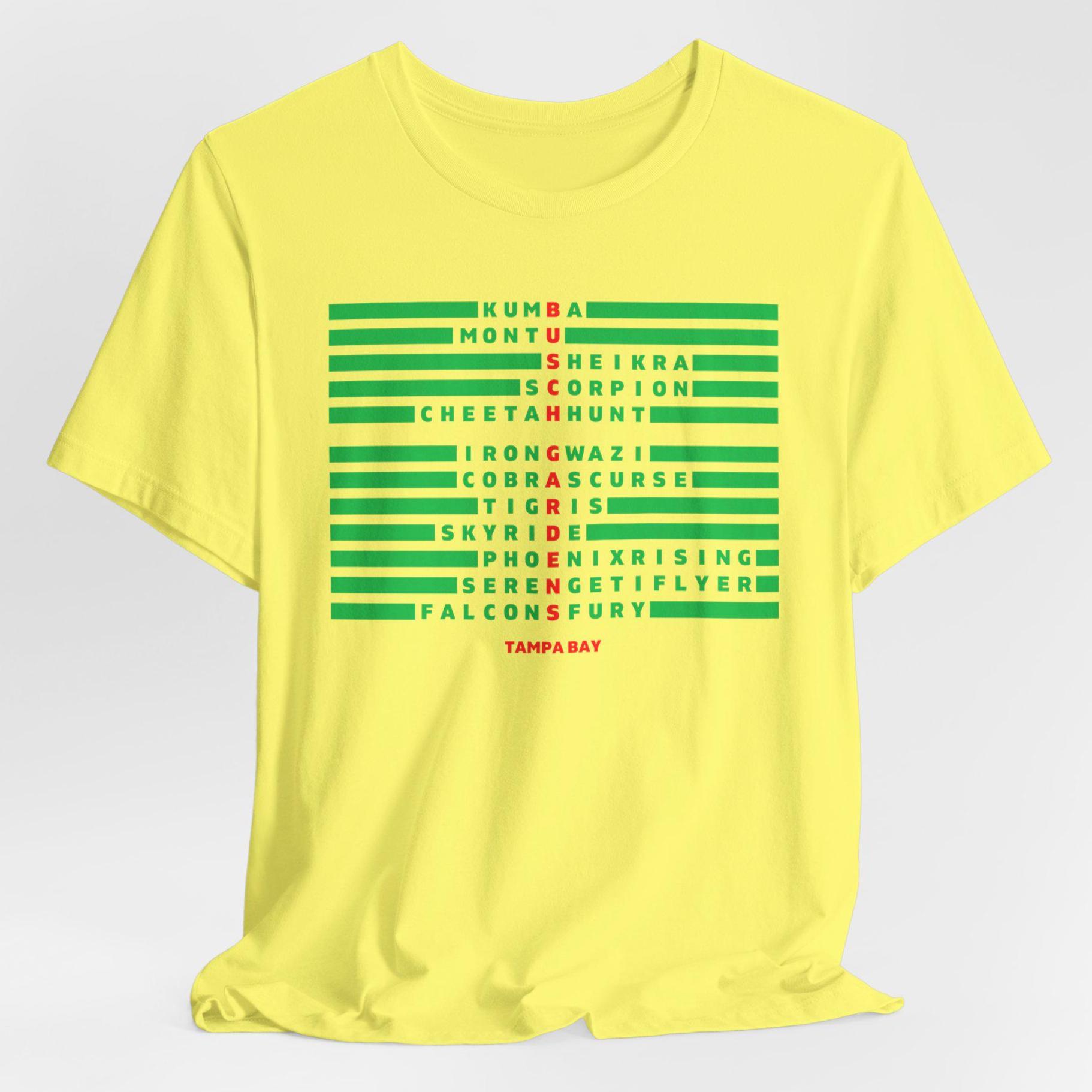 Busch Gardens Shirt, Busch Gardens Tampa Shirt, Tampa Bay, Roller 