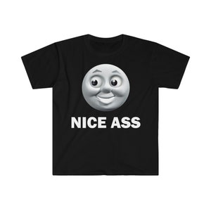 Nice Ass T-Shirt, Humor T-shirt, Funny Gift, Funny Meme shirt, Unisex Offensive T-Shirt, Funny T-Shirt, Satire Shirt