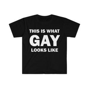 Camiseta Isto é o que gay parece, camiseta de humor, camiseta gay, camisa para amigo gay, camiseta do orgulho, camisa para amigo, camisa gay