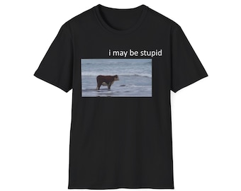 Puedo ser camiseta estúpida, camiseta de humor, regalo divertido, camisa de meme divertido, camiseta ofensiva unisex, camiseta divertida, camisa de sátira
