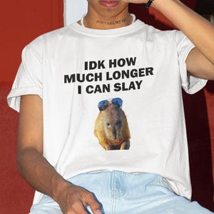IDK How Much Longer I Can Slay Shirt, Capybara Shirt, Funny Shirt, Funny Gift, Shirt For Friend, Funny Gag Gift, Edgy Tee, Gen Z Shirt
