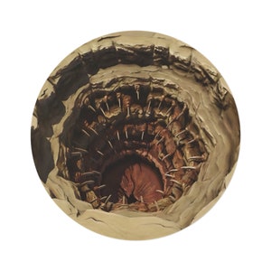 Op de afbeelding: Een close-up van een cirkelvormig, getextureerd, bruin en beige oppervlak met een donker gat in het midden. Het gat wordt omringd door een ring van scherpe, puntige tanden.
