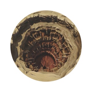 Sarlacc Pit Rug