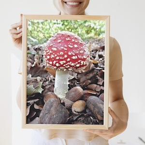 Mushroom Digital Art Download Print