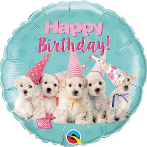 Helium balloon filled foil balloon incl. Helium Happy Birthday small dogs round turquoise 40 cm in a decorative box