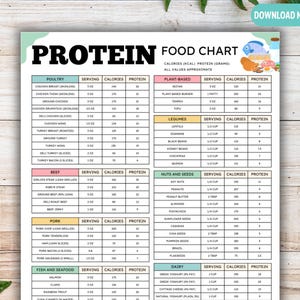 High Protein Food Chart, Low Carb Keto Food List for Muscle Body Building and Weight Fat Loss, Dietitian Meal Plan and Healthy Grocery List