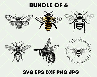 Bundle SVG insecte, lot PNG insecte, clipart insecte, insecte svg, Silhouette d'insecte, insecte SVG couper des fichiers pour Cricut