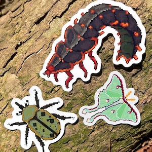May include: Three pixel art stickers featuring a dark purple and orange segmented centipede, a light green beetle with black spots and black legs, and a pale green moth with pink accents and orange antennae, all with white die-cut borders.