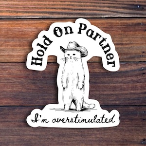 Hold On Partner I'm Overstimulated Sticker, Funny Cowboy Cat Sticker, Western Cat, Sarcastic Country Sticker, Trendy Vintage Sticker Glossy Vinyl