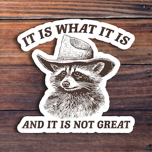 It Is What It Is Sticker, Funny Raccoon Meme Sticker Vintage Raccoon Sticker, Millennial, Gen Z Humor, Cute Raccoon,Waterproof Vinyl Sticker