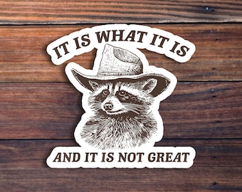 It Is What It Is Sticker, Funny Raccoon Meme Sticker Vintage Raccoon Sticker, Millennial, Gen Z Humor, Cute Raccoon,Waterproof Vinyl Sticker
