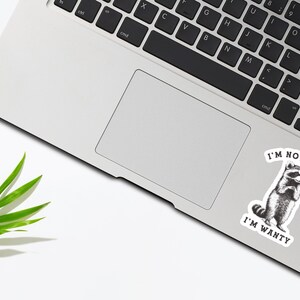 Funny Raccoon Sticker, I'm Not Needy I'm Wanty Decal image 3