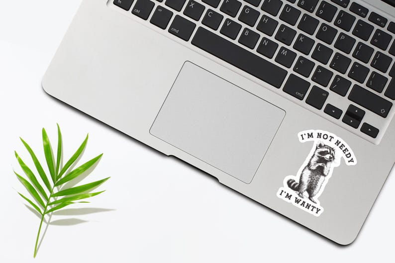 Funny Raccoon Sticker, I'm Not Needy I'm Wanty Decal image 3