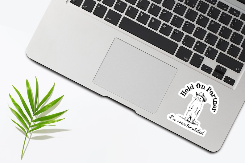 Hold On Partner I'm Overstimulated Sticker, Funny Cowboy Cat Sticker, Western Cat, Sarcastic Country Sticker, Trendy Vintage Sticker image 4