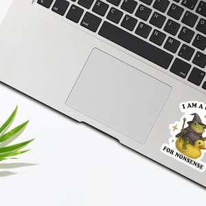 May include: A sticker featuring a whimsical illustration of a frog in a wizard hat riding a rubber duck. The frog holds a carrot wand, and the text "I AM A CONDUIT FOR NONSENSE" is displayed. The sticker is on a laptop.
