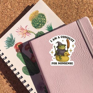 May include: A pink journal with a sticker that reads "I AM A CONDUIT FOR NONSENSE" featuring a frog in a wizard hat riding a rubber duck. A botanical illustration notebook with cacti and succulents is visible.