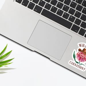 Op de afbeelding: Een sticker op een laptop met een roze pioenroos, een bruine cowboyhoed en de tekst "WHAT IN CARNATION?". Een groen palmblad ligt op het witte oppervlak naast de laptop.
