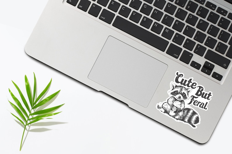 Cute But Feral Raccoon Vinyl Sticker, Sarcastic Snarky Funny Sticker, Adult Humor, Waterproof Sticker Decal image 4