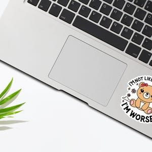 I'm Not Like Other Girls, I'm Worse Sticker, Funny Sarcastic Waterproof Sticker, Gen Z Meme Humor Sticker, Quote Sticker immagine 3