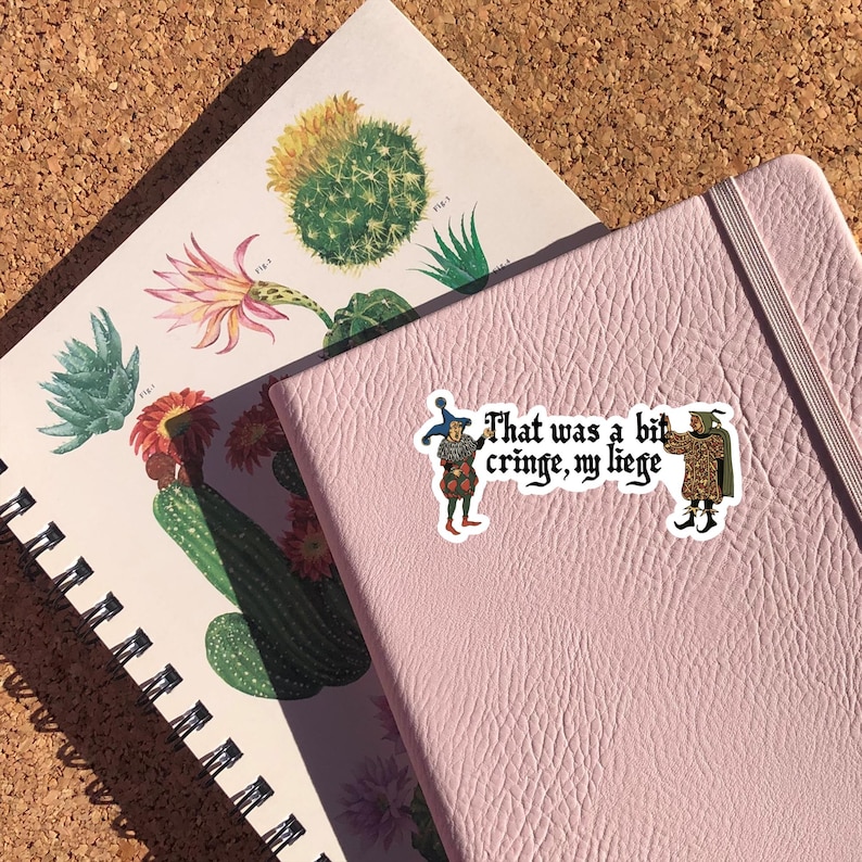 May include: A pink notebook with an elastic closure and a sticker that reads "That was a bit cringe, my liege." A botanical illustration notebook with cactus and flower drawings is visible in the background.