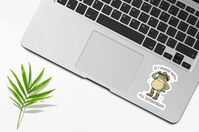 May include: A laptop with a sticker featuring a cartoon frog wearing a cowboy hat and boots. The sticker has the text "If I shanen once, I'll SHONANIGAN". A green leaf is on the white surface.