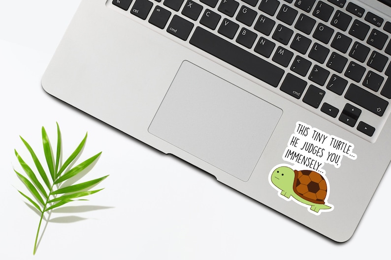 May include: A sticker with a cartoon turtle on a laptop. The sticker says "This tiny turtle... He judges you immensely..."