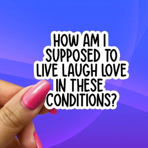 How Am I Supposed To Live Laugh Love In These Conditions? Cute Funny TikTok Meme Sticker Decal For Water Bottles, Tumblers, Phones, Laptops