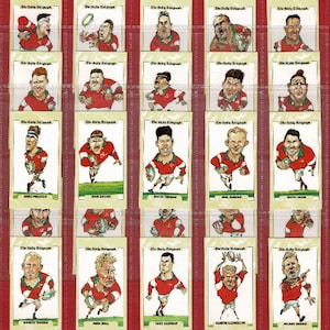 CARTES DE RUGBY DU PAYS DE GALLES - Jeu de cartes commerciales de la Coupe du monde de rugby du Daily Telegraph 1995 dans des pochettes en plastique - Joueurs de l'Union de rugby gallois (RY12)
