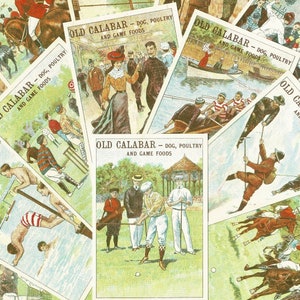 TARJETAS DE DEPORTES Y JUEGOS Vintage - Juego de cartas comerciales de reimpresión británica - Golf Cricket Tiro Lucha Ciclismo Remo - Galletas Old Calabar (VC11)