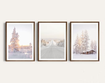 Puede incluir: Tres fotografías enmarcadas de paisajes de invierno. La foto de la izquierda muestra un bosque cubierto de nieve con un solo pino alto en primer plano. La foto del medio muestra un camino nevado que conduce a un bosque. La foto de la derecha muestra un bosque cubierto de nieve con una pequeña cabaña de madera en primer plano.