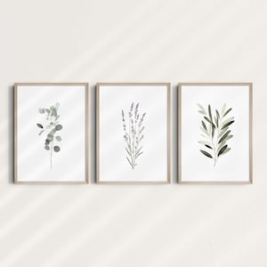 Juego de 3 Lavanda, Eucalipto, Olivo, Arte Botánico, Arte de Pared Imprimible, Decoración de Pared Digital, Minimalista, Decoración de Pared