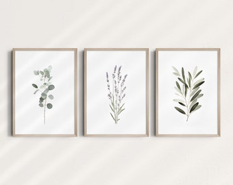 Set of 3 prints, Printable Wall Art, Lavender Print, Eucalyptus Print, Olive, Botanical Print, Wall Decor, Digital Wall Art Prints