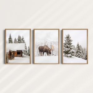 Op de afbeelding: Een set van drie winterse prints met een besneeuwde hut, een eland in een besneeuwd bos en een met sneeuw bedekte dennenboom. De prints zijn ingelijst in natuurlijk hout.