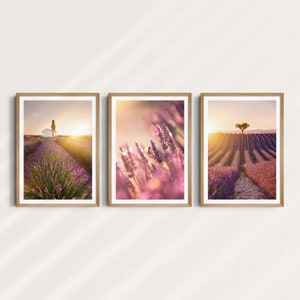 Peut inclure: Ensemble de trois impressions d'art encadrées représentant des champs de lavande au coucher du soleil. Les images montrent des rangées de lavande violette, un petit bâtiment blanc et un arbre, baignés de lumière. Les cadres sont en bois naturel.