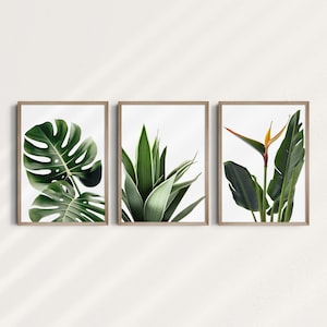 Set of 3 Prints, Printable Wall Art, Monstera Print, Bird of Paradise, Sagittarius Botanical Print, Digital Wall Decor, Minimalist