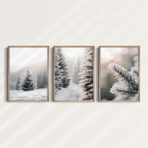 Könnte beinhalten: Drei gerahmte Drucke einer verschneiten Waldszene. Der erste Druck zeigt einen einzelnen, schneebedeckten Kiefernbaum im Vordergrund mit einer Reihe von Kiefern im Hintergrund. Der zweite Druck zeigt einen Weg durch einen verschneiten Wald mit Kiefern auf beiden Seiten. Der dritte Druck zeigt eine Nahaufnahme eines schneebedeckten Kiefernastes.