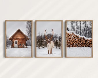 Set of 3 Reindeer in Snow, Wooden Hut in Finnish Winter, Lapland, Christmas Decor, Wall Picture, Print, Printable Art, Digital Download