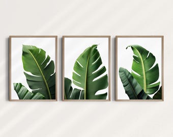 May include: Three framed prints of green tropical leaves on a white background.