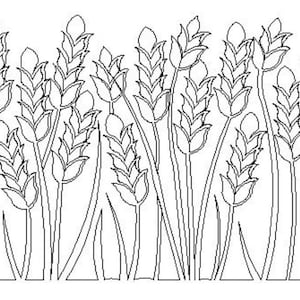 2216   Wheat border