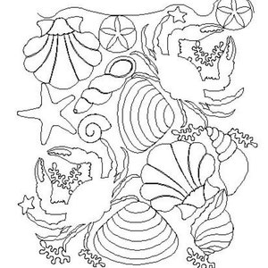 1213 Panto crabe et coquillage
