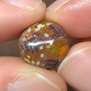 May include: A polished, rounded gemstone featuring a deep brown and reddish-brown base color with scattered white, opaque inclusions and subtle flashes of orange and green iridescence across its smooth, reflective surface.