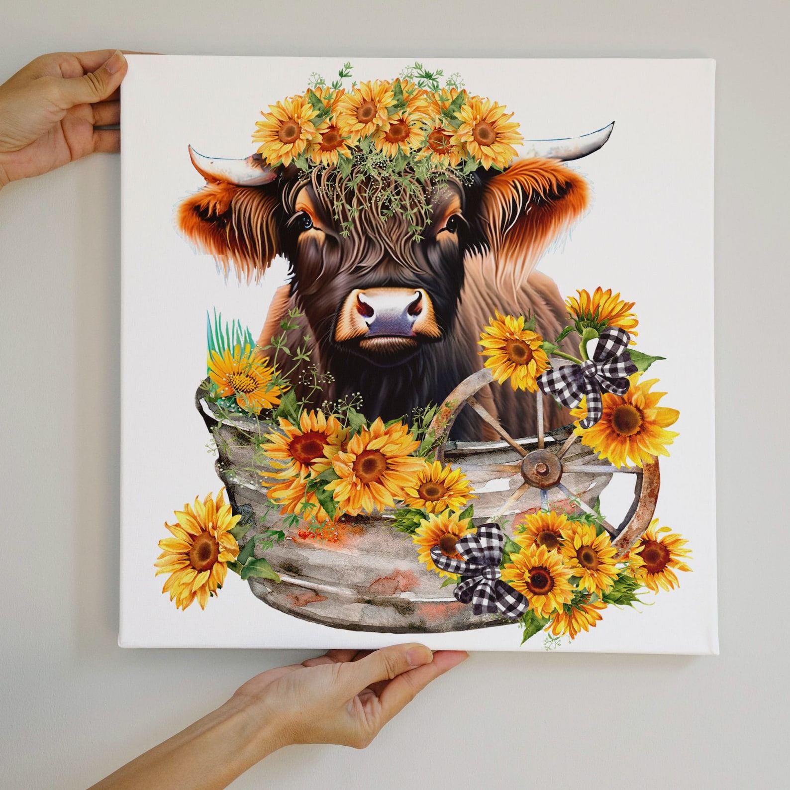 Lucy Sunflower: The Hairy Back Phenomenon - n01i6t6