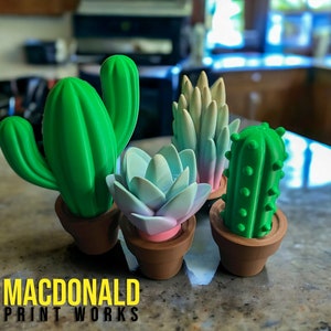 Unique Home Decor: Miniature Cactus and Succulent Garden with 3D Printed Plants in Stylish Pots. Maintenance Free!