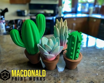 3D Printed Cactus and Succulent Garden: Unique Home Decor