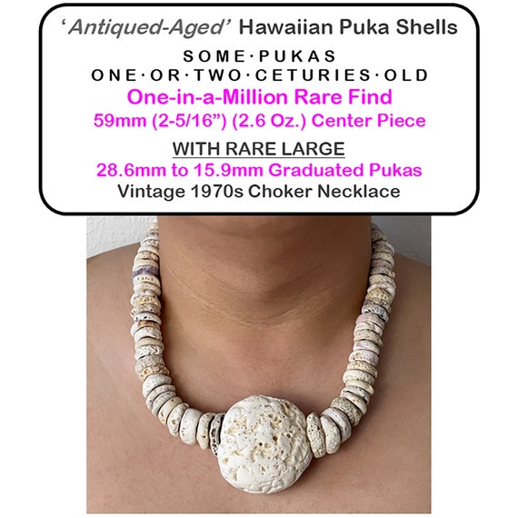 Vintage 70s Large Hawaiian Puka Shell Necklace wi… - image 1