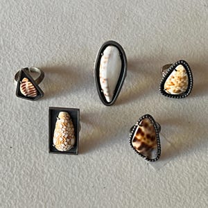 Peut inclure: Cinq bagues en argent, chacune ornée d'un coquillage unique. Les coquillages varient en forme et en couleur, avec des nuances de blanc, de brun et de beige. Les bagues présentent différents sertissages, notamment géométriques et ovales.