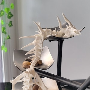 Schädel Knochen Gelenkdrache - Gelenkdrachen Flexi Spielzeug - 3D Druck Sensorisches Stress Fidget Spielzeug - Bücherregal Dekor
