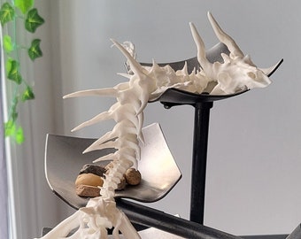 Dragón articulado con forma de calavera y hueso - Juguete flexible articulado con forma de dragón - Juguete antiestrés sensorial con impresión 3D - Decoración para estanterías
