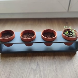 Op de afbeelding: Vier terracotta potten met aarde, waarvan één met een klein groen plantje, staan op een grijs houten plank.