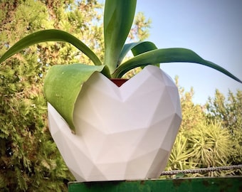 Maceta de corazón de estilo low poly y maceta geométrica moderna para suculentas.